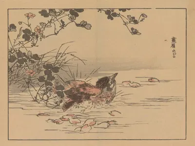 Bairei gafu, Pl.05 by Коно Байрей, 1905 — digital art print download