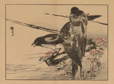 Bairei gafu, Pl.08 by Коно Байрей, 1905 — digital art print download