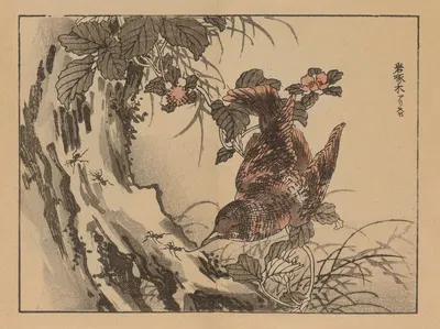 Bairei gafu, Pl.11 by Коно Байрей, 1905 — digital art print download
