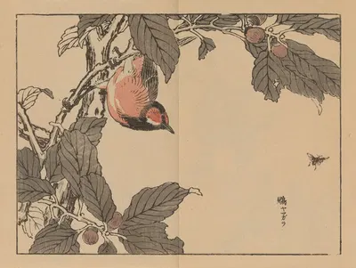 Bairei gafu, Pl.16 by Коно Байрей, 1905 — digital art print download