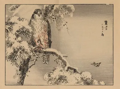 Bairei gafu, Pl.24 by Коно Байрей, 1905 — digital art print download