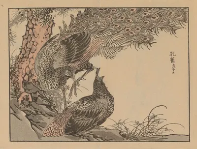 Bairei gafu, Pl.26 by Коно Байрей, 1905 — digital art print download