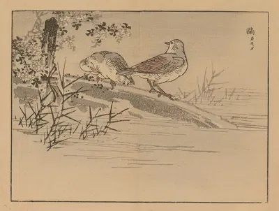 Bairei gafu, Pl.31 by Коно Байрей, 1905 — digital art print download