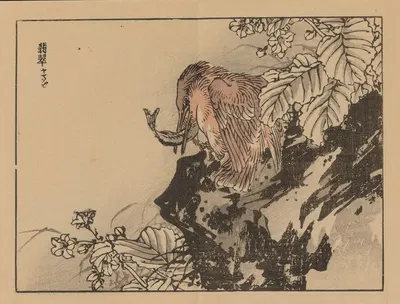 Bairei gafu, Pl.36 by Коно Байрей, 1905 — digital art print download