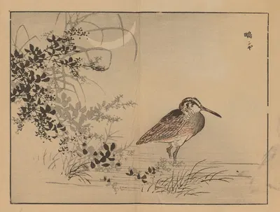 Bairei gafu, Pl.40 by Коно Байрей, 1905 — digital art print download