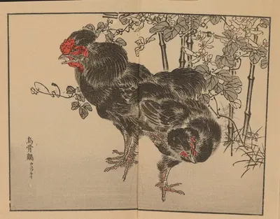 Bairei gafu, Pl.41 by Коно Байрей, 1905 — digital art print download