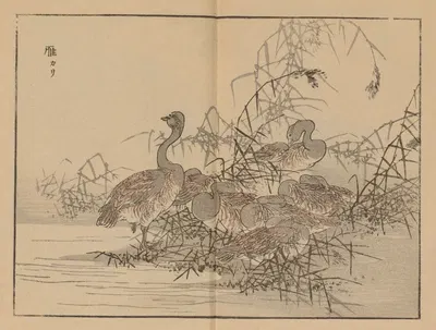 Bairei gafu, Pl.43 by Коно Байрей, 1905 — digital art print download