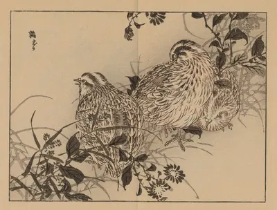 Bairei gafu, Pl.44 by Коно Байрей, 1905 — digital art print download