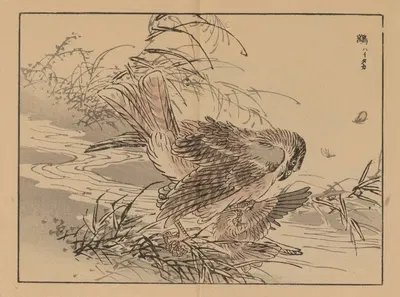 Bairei gafu, Pl.46 by Коно Байрей, 1905 — digital art print download