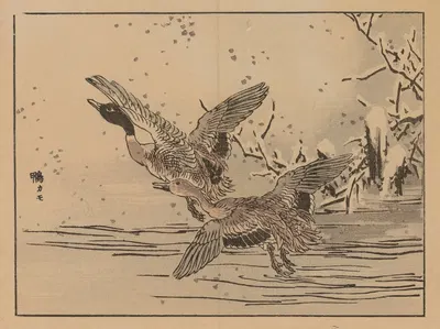 Bairei gafu, Pl.47 by Коно Байрей, 1905 — digital art print download