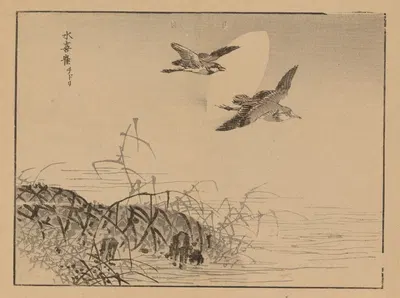 Bairei gafu, Pl.48 by Коно Байрей, 1905 — digital art print download