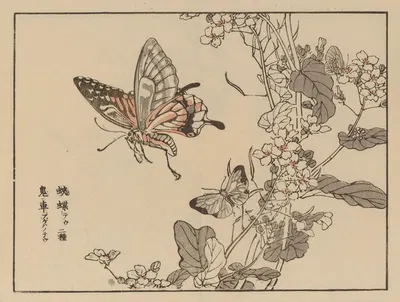 Bairei gafu, Pl.51 by Коно Байрей, 1905 — digital art print download