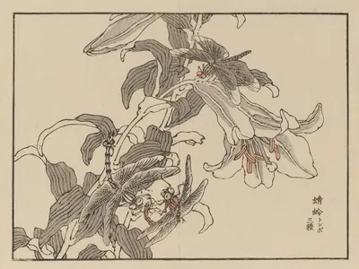 Bairei gafu, Pl.52 by Коно Байрей, 1905 — digital art print download