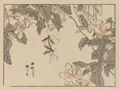 Bairei gafu, Pl.53 by Коно Байрей, 1905 — digital art print download