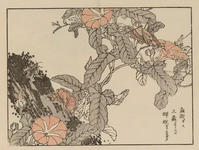 Bairei gafu, Pl.54 by Коно Байрей, 1905 — digital art print download