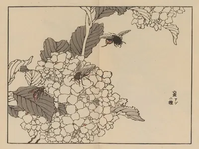 Bairei gafu, Pl.59 by Коно Байрей, 1905 — digital art print download