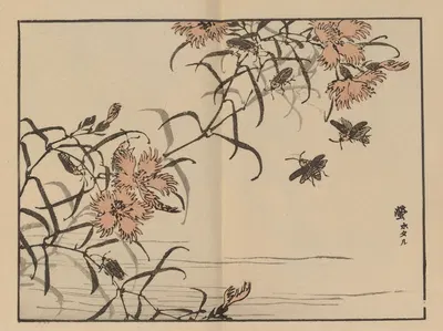 Bairei gafu, Pl.65 by Коно Байрей, 1905 — digital art print download