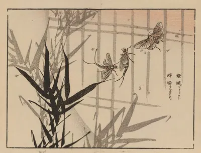 Bairei gafu, Pl.68 by Коно Байрей, 1905 — digital art print download