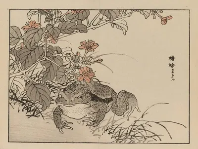 Bairei gafu, Pl.71 by Коно Байрей, 1905 — digital art print download