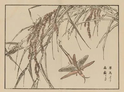 Bairei gafu, Pl.72 by Коно Байрей, 1905 — digital art print download
