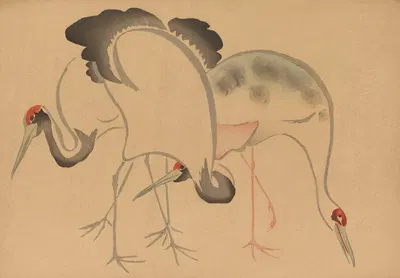 Kōrin gafu, Pl.02 by Хо̄тю̄ Накамура, 1868-1912 — digital art print download