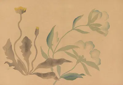 Kōrin gafu, Pl.07 by Хо̄тю̄ Накамура, 1868-1912 — digital art print download