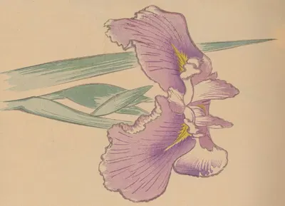 Hōgajō, Pl.08 by Дзиро Такэути, 1901 — digital art print download