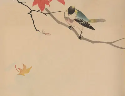 Hōgajō, Pl.09 by Дзиро Такэути, 1901 — digital art print download