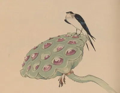 Hōgajō, Pl.11 by Дзиро Такэути, 1901 — digital art print download