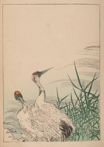Kachō gafu, Pl.02 by Kōtei Fukui, 1898 — digital art print download