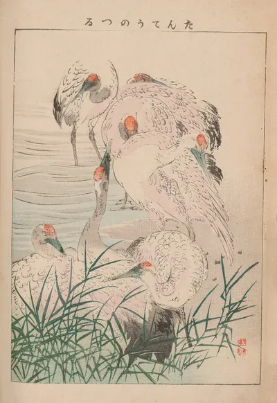 Kachō gafu, Pl.03 by Kōtei Fukui, 1898 — digital art print download