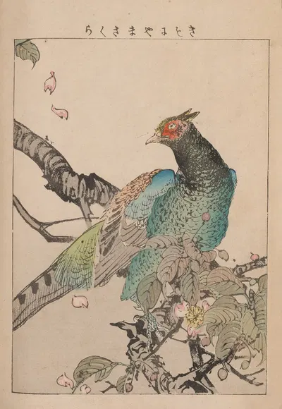Kachō gafu, Pl.09 by Kōtei Fukui, 1898 — digital art print download