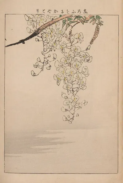 Kachō gafu, Pl.11 by Kōtei Fukui, 1898 — digital art print download