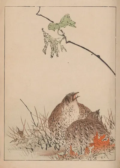 Kachō gafu, Pl.12 by Kōtei Fukui, 1898 — digital art print download