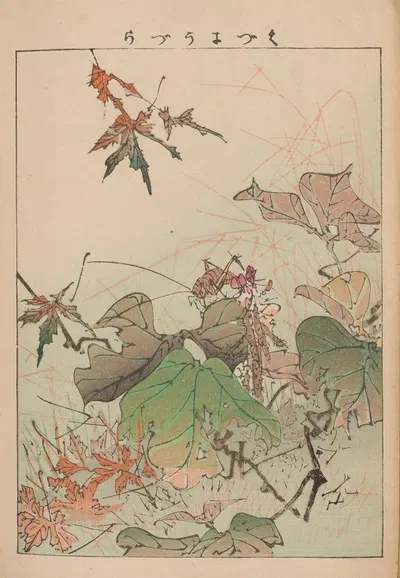 Kachō gafu, Pl.13 by Kōtei Fukui, 1898 — digital art print download