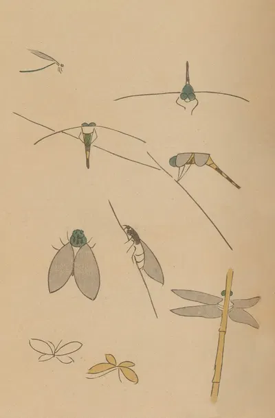 Chōjū ryakugashiki, Pl.34 by Masayoshi Kitao, 1868-1912 — digital art print download