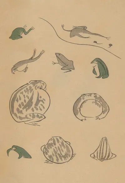 Chōjū ryakugashiki, Pl.37 by Masayoshi Kitao, 1868-1912 — digital art print download