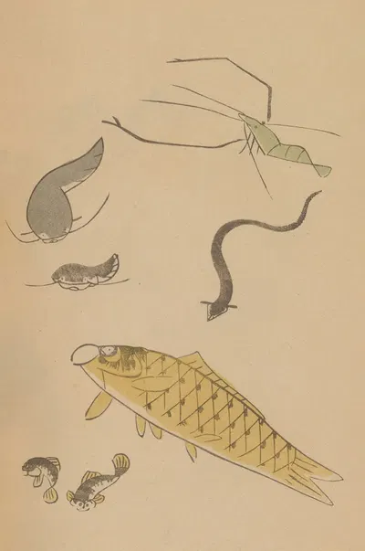 Chōjū ryakugashiki, Pl.41 by Masayoshi Kitao, 1868-1912 — digital art print download