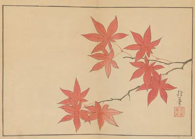 Sakai Hōitsu gajō, Pl.05 by Сакаи Хо̄ицу, 1800-1912 — digital art print download