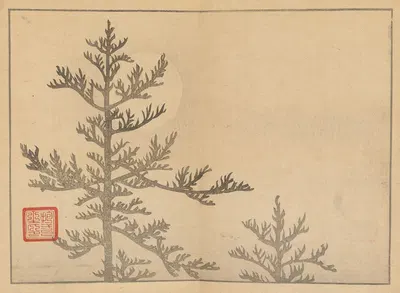 Sakai Hōitsu gajō, Pl.16 by Сакаи Хо̄ицу, 1800-1912 — digital art print download