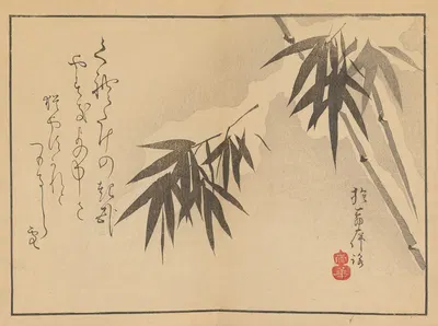 Sakai Hōitsu gajō, Pl.19 by Сакаи Хо̄ицу, 1800-1912 — digital art print download