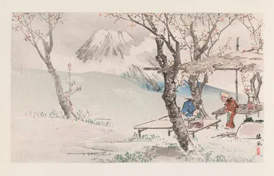 Seihō jūni Fuji, Pl.03 by Takeuchi Seihō, 1894 — digital art print download