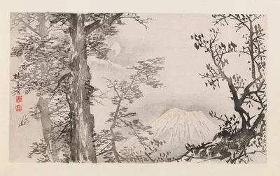 Seihō jūni Fuji, Pl.04 by Takeuchi Seihō, 1894 — digital art print download