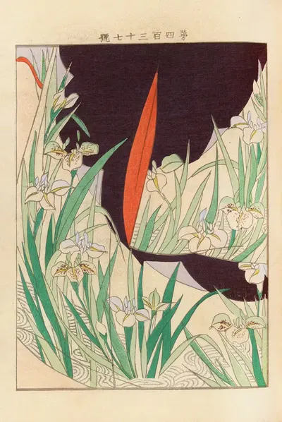 Ячигуса в. 15, Pl.17 by Сэйко Уэно, 1902-1903 — digital art print download