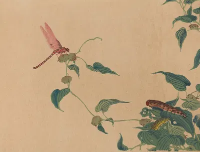 Chūka senzen, Pl.04 by Shunkei Mori — digital art print download
