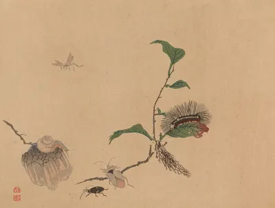 Chūka senzen, Pl.05 by Shunkei Mori — digital art print download