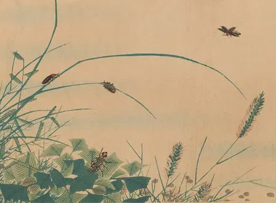 Chūka senzen, Pl.06 by Shunkei Mori — digital art print download