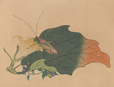 Chūka senzen, Pl.08 by Shunkei Mori — digital art print download
