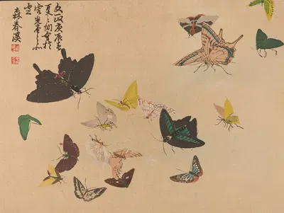 Chūka senzen, Pl.12 by Shunkei Mori — digital art print download