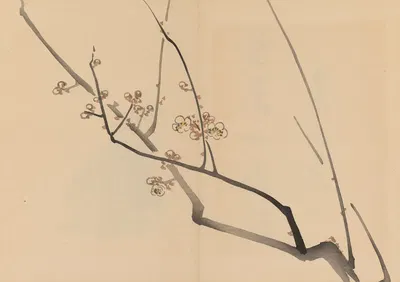 Zeshin iboku tairyūkyo gafu, Pl.01 by Сибата Зэшин, 1907 — digital art print download